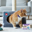 Adesivos de Feromônios Calmantes para Gatos