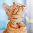 Coleira Antipulgas para Gatos