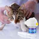 Difusor de Feromônios Calmantes para Gatos