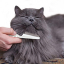 Pente para Higienização de Gatos