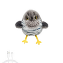 Brinquedo Pássaro Elétrico Recarregável para Gatos