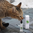 Spray Estimulante de Catnip para Gatos