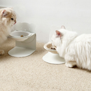 Tigela Ursinho Magnética para Gatos